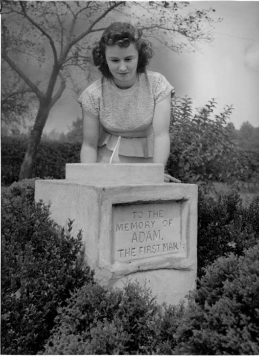 11160591_10153736149131258_5080423337534477605_n